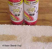 Bob's steam carpet cleaning removes coffee and other stubborn stains with special carpet treatments.